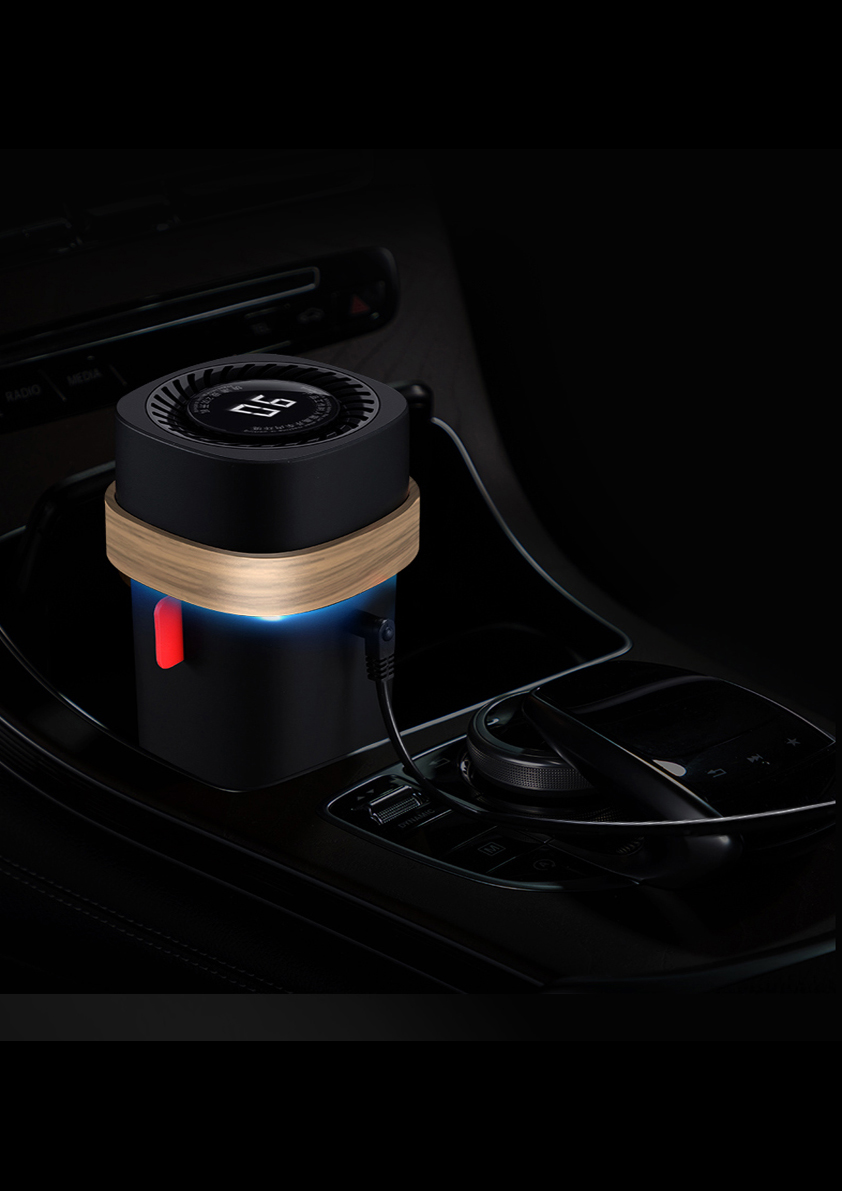 Vehicle Disinfection Purifier（C6S)