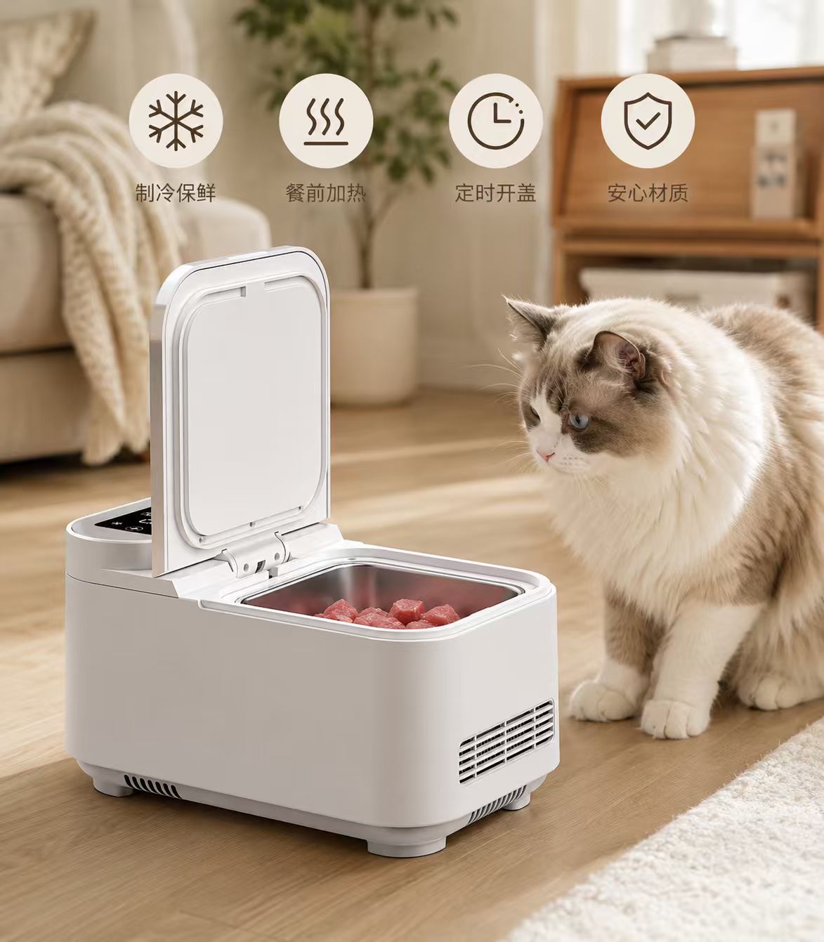 wet pet food feeder